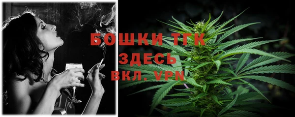 мяу мяу мука Горняк