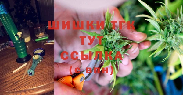 мяу мяу мука Горняк