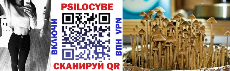 Купить где  Каргополь  Псилоцибиновые грибы MAGIC MUSHROOMS 